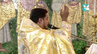 Holy Mass - Syro Malankara -  Rev Fr Aby Vadakkumthala