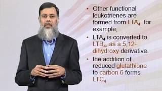 BIO202 Topic156