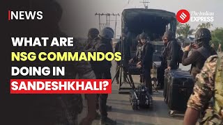 Sandeshkhali News: CBI, NSG Search For Arms, Ammunition And Crude Bombs In Sandeshkhali