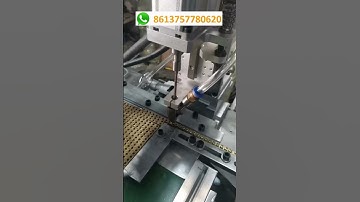 Neutral Link Earth Terminal, Brass Busbar Terminals Automatic Screw Assembly Machine in China