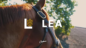 Lea Commercial - November 2020