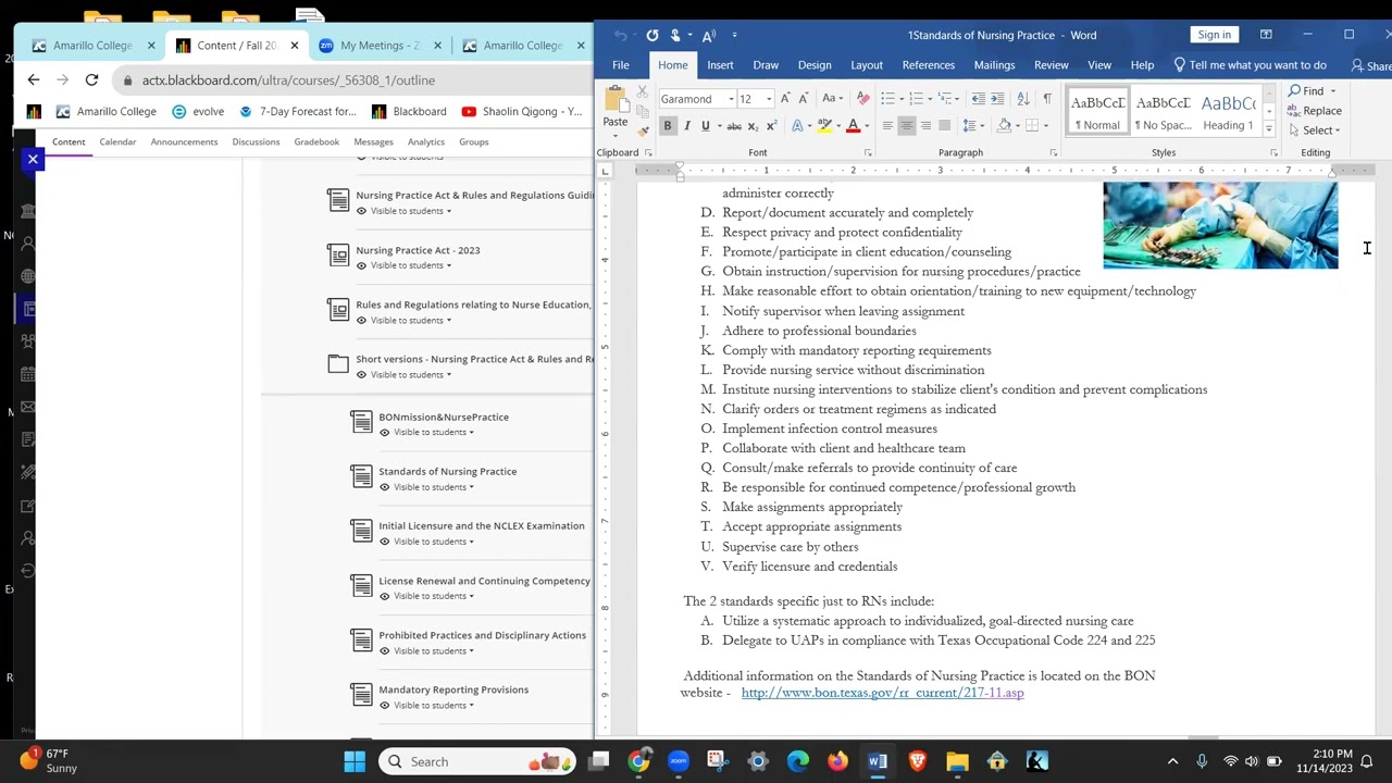 Standards of Nursing Practice