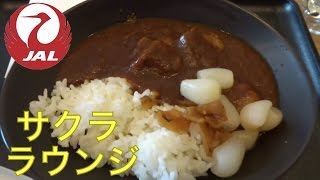 【カレーライス】日本航空サクララウンジ JAL sakura Lounge【Japanese curry】