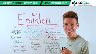 How does the Peptide Epitalon Work?