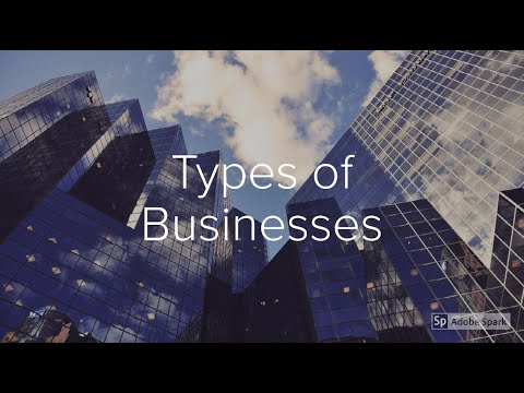Types of Businesses / Classification of Businesses