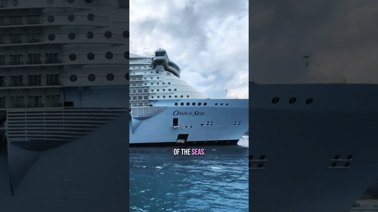 We Played Room ROULETTE on Royal Caribbean 🎲 #royalcaribbean #oasisofstheseas #cruisereality