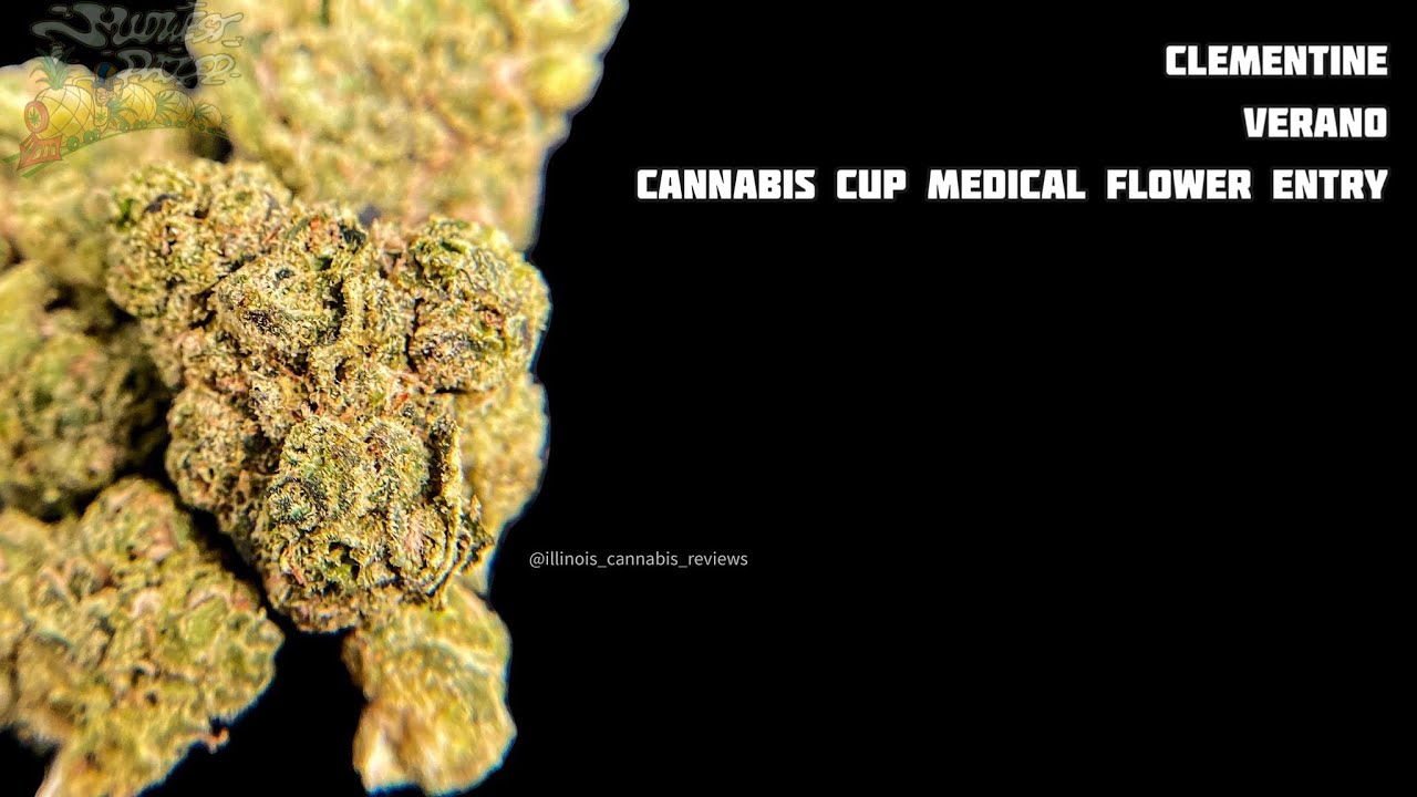 Clementine by Verano High Times Cannabis Cup Judging - Illinois Cannabis Review