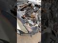 Nissan Altima And Chevy Equinox Car Fire How Are The Beers Still Cold Nissanaltima Chevyequinox Nissan Altima And Chevy Equinox Car Fire How Are The Beers Still Cold Nissanaltima Chevyequinox