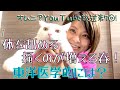 体を舐める・掻くのが増える春!東洋医学的には??