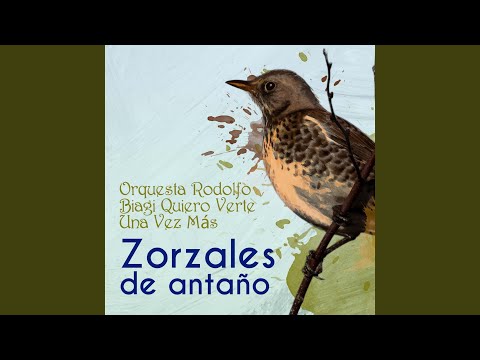 Sera Lo Mejor