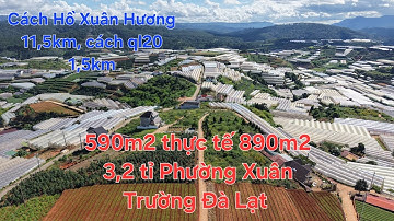 590m2 diện tích thực tế 890m2 giá 3,2 tỉ Xuân Thọ, Đà Lạt. Đất có view rất đẹp 180 độ 