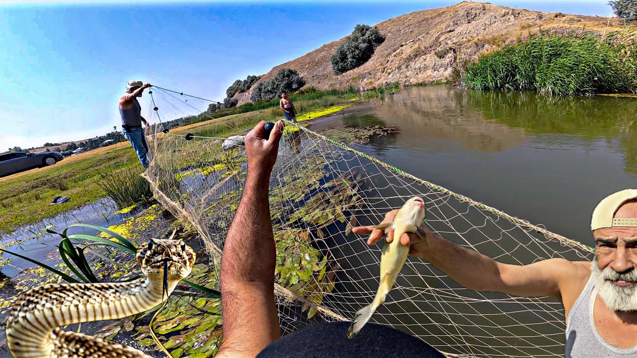 Yılanla Burun Buruna Geldik! Baba Oğul Kamışların Arasında Balık Peşinde! 😱🐍