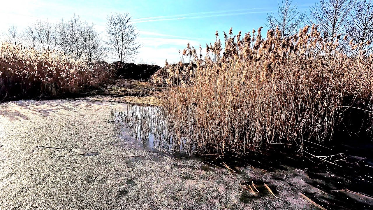 Остання КРИГА 2026 Прийшла Весна