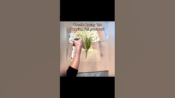 Wreath Making Tip | Artificial Floral Tip | Shorts #shorts #wreathmaking #wreathdiy