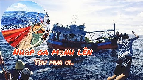 Bao vây bầy cá ngừ 2 lần buổi chiều đầy kịch tính | Đánh cá 2024 - Tập77 | Sóng biển Hứa Đông