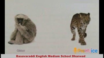 01-12-2020 /4th std /S.S.T/ Northern Plains /Basavaraddi English Medium School Dharwad