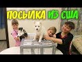 ВЛОГ Посылка из США