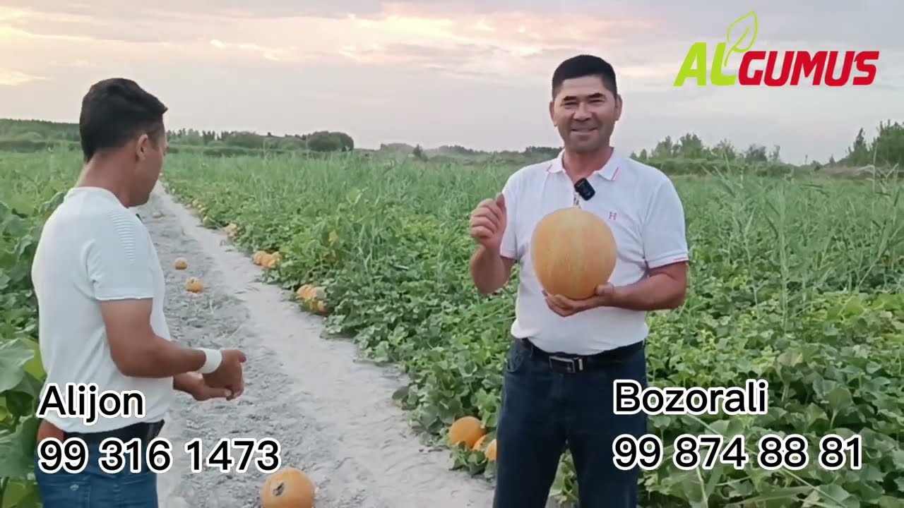 Supper Qovun 7, 2024 yil 7 iyul