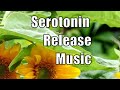Serotonin, Endorphins &amp;  Dopamine Release Music - Binaural Beats - Happiness Booster Music