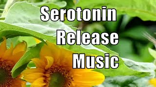 Serotonin, Endorphins &amp;  Dopamine Release Music - Binaural Beats - Happiness Booster Music