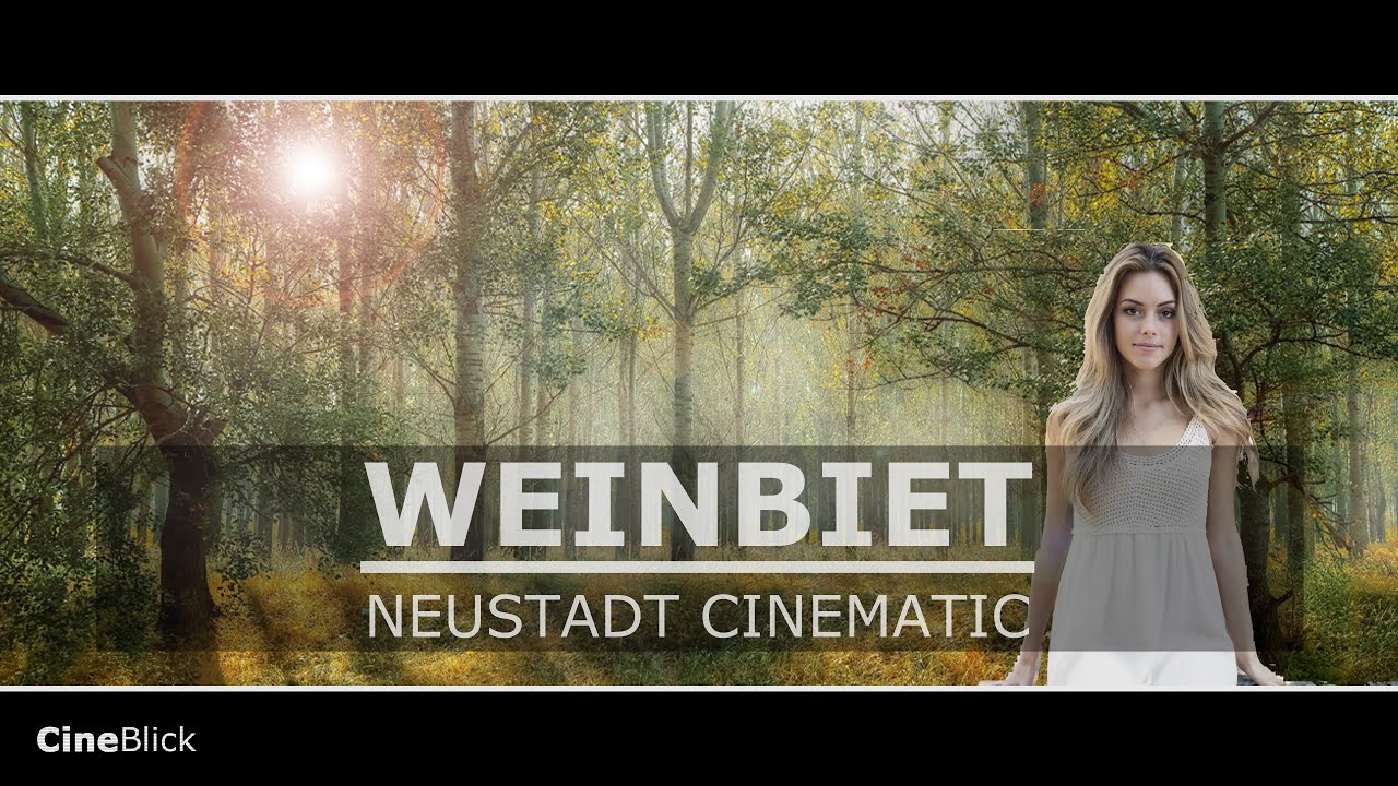 Wunderschönes Weinbiet die Pfalz in 4K