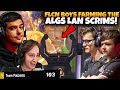How ImperialHal &amp; the FLCN Boys POPPED OFF &amp; Took 1st Place in ALGS LAN Scrims!