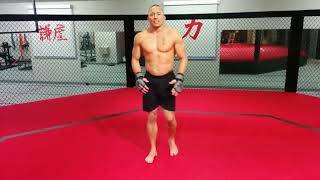 Georges St Pierre Superman Punch Demo - JomFight