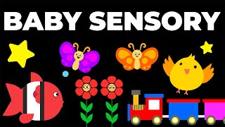 BABY SENSORY | High Contrast Baby Video & Music For Baby Brain Development screenshot 5