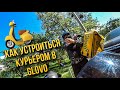 Почему так Сложно Устроится курьером в GLOVO?!