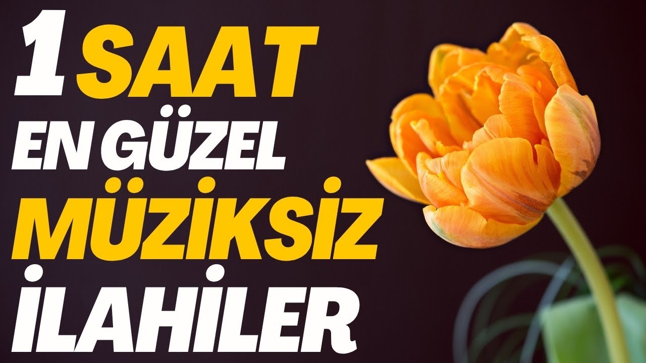 1 SAAT EN GÜZEL KARIŞIK MÜZİKSİZ İLAHİLER #müziksizilahidinle #müziksizilahi