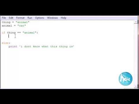 python22 if long nhau
