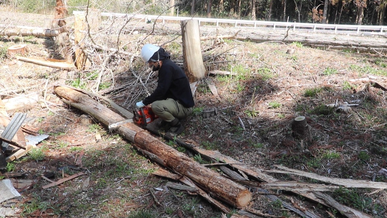 自宅横を耕運機で耕し、切り倒した杉の木をチェンソーで細かくする