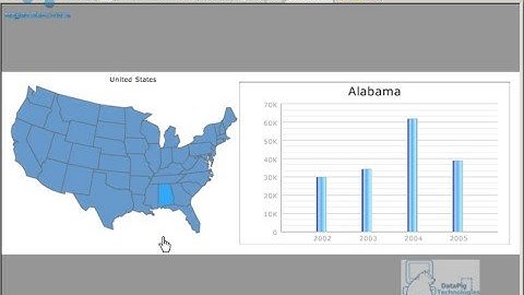 Specify the default State in a Map in Xcelsius - www.MyXcelsius.com