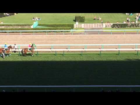 20150905 札幌2歳S 馬場入場