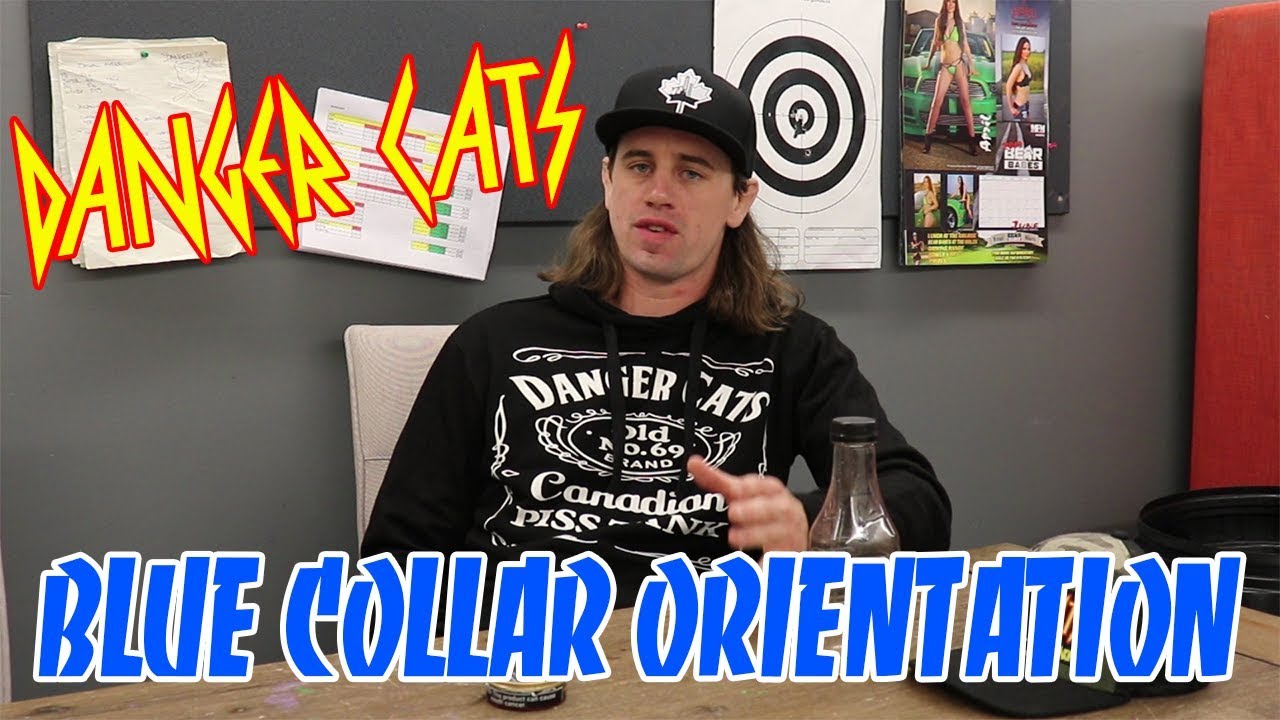 uncle hack wiki Blue Collar Orientation - Danger Cats