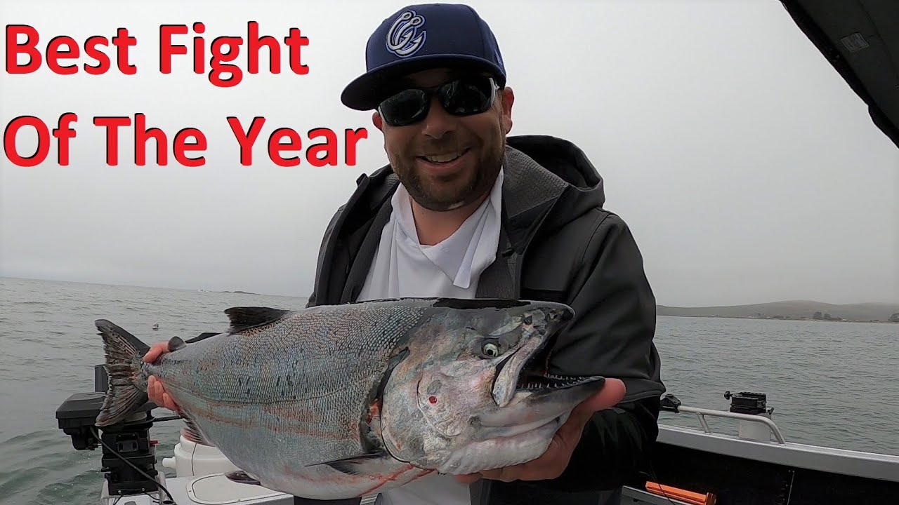 *SOLO* Salmon Fishing for a LIMIT in Bodega Bay, CA YouTube
