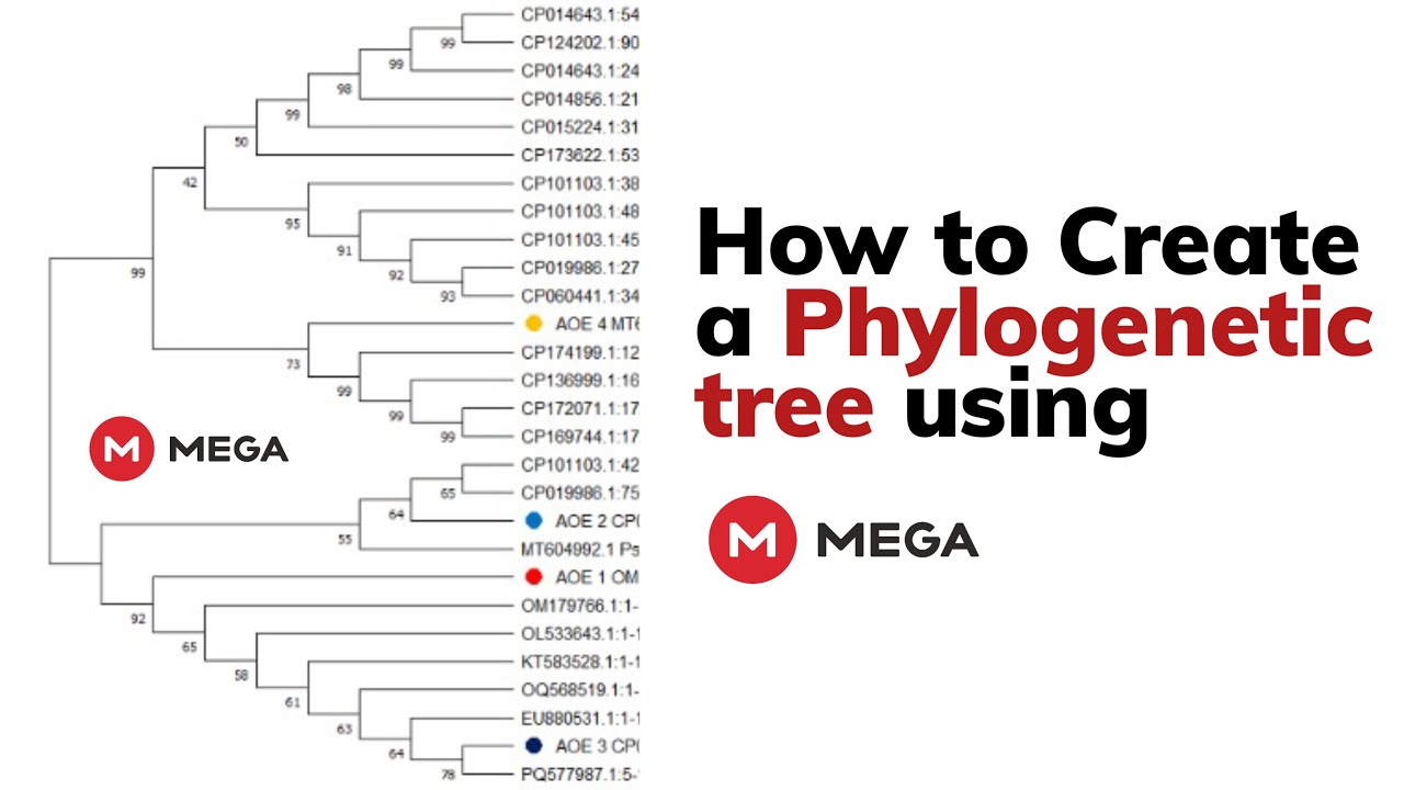 biopython tutorial: making phylogenetic trees in... How to Create a Phylogenetic Tree Using MEGA | Step-by-Step Tutorial ...