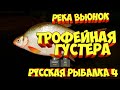 русская рыбалка 4 - Густера река Вьюнок - рр4 фарм Алексей Майоров russian fishing 4
