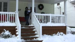 Blizzard of 2011 Springfield Illinois