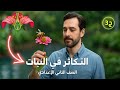 التكاثر الخضري في النبات شرح درس التكاثر في النبات تانية اعدادي