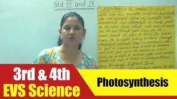 3rd & 4th EVS Science | Photosynthesis | CBSE Science Syllabus