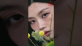 톤온톤 브라운 COLOR GRID EYESHADOW # BUTTER CREAM 🤎| 3CE