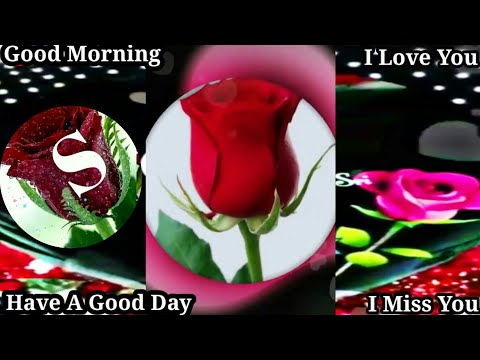 good-morning-video