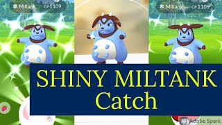 Shiny Miltank Catch in Pokemon Go #shinymiltank #miltank #pokemongo