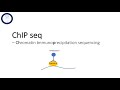 ChIP seq - Chromatin Immunoprecipitation sequencing Mp3 Song