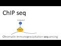 Understanding Protein Interaction and Sequencing