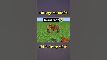 Những Logic Bất Ổn Chỉ Có Trong Minecraft ( Tập 7 ) 🤣 #shorts