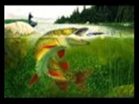 Big Fish Video