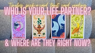 Who Is Your Life Partner  Where Are They In Their Life Rn Timeless Pickacard Tarot Card Reading