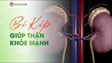 Bí kíp giúp thận khỏe mạnh | Bệnh viện Đại học Y Dược Shing Mark